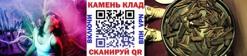 ГАШ Ice-O-Lator  Купить где  Пойковский 